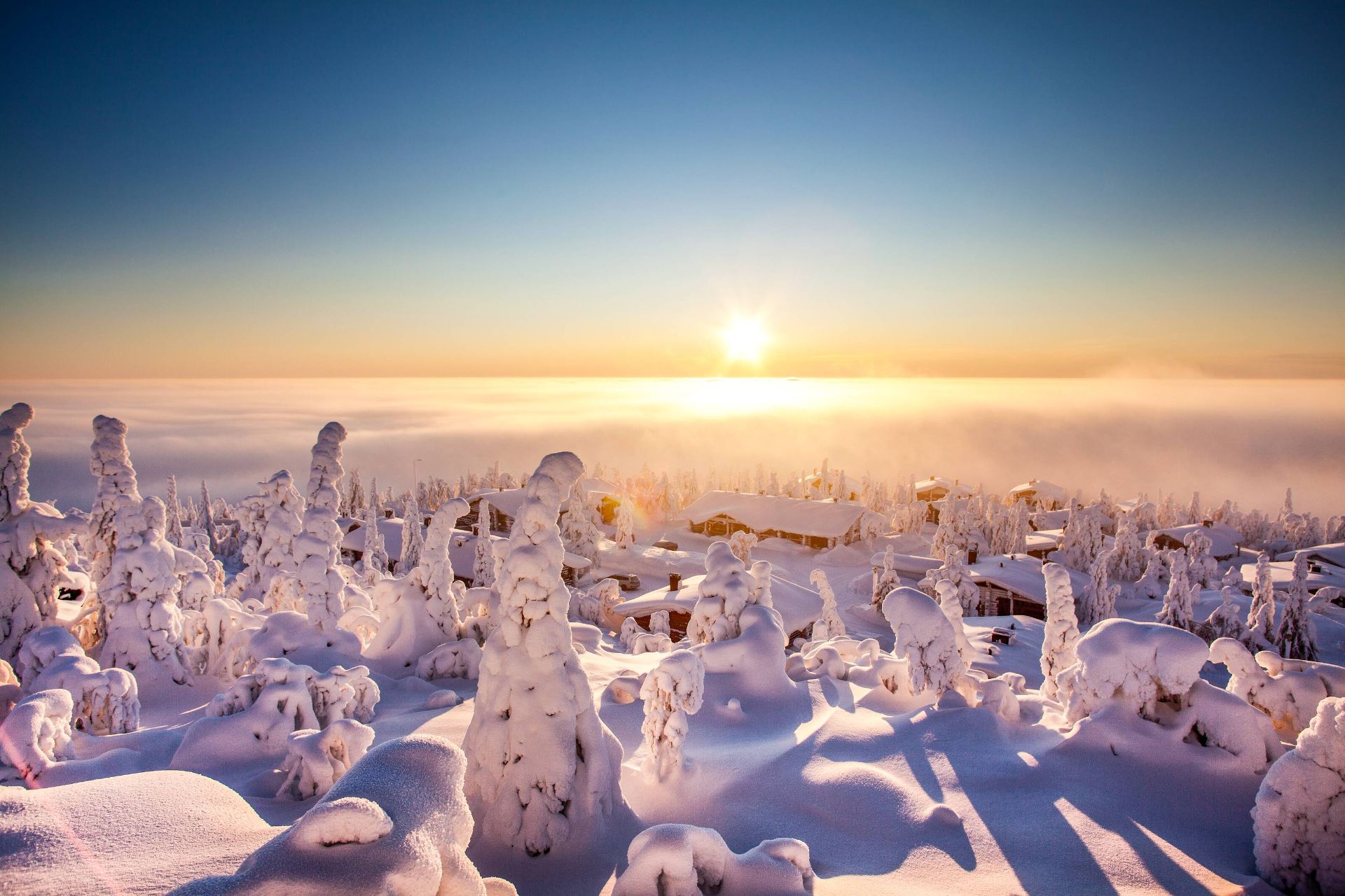 Northern Lights aurora safari in Finland