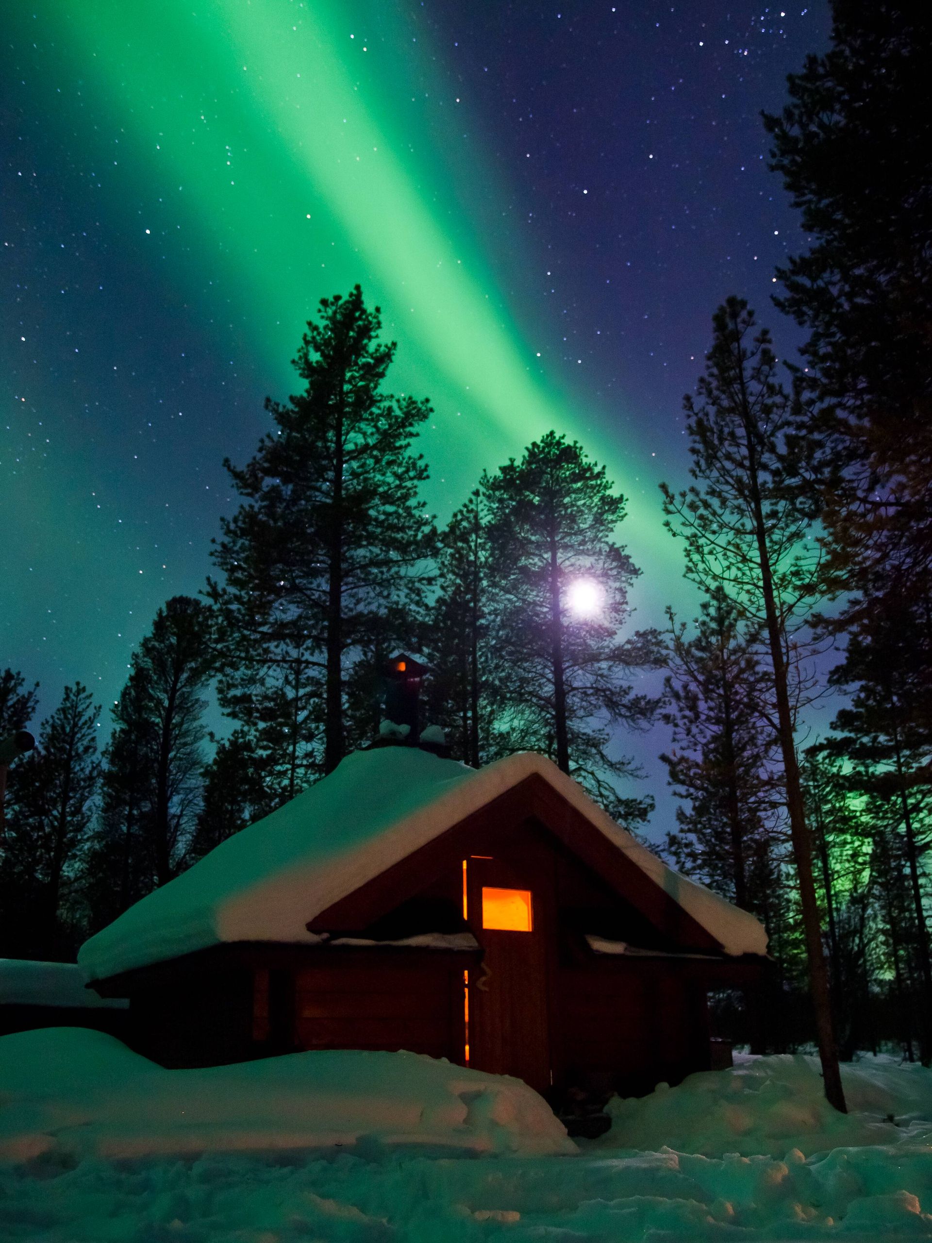 Aurora safari