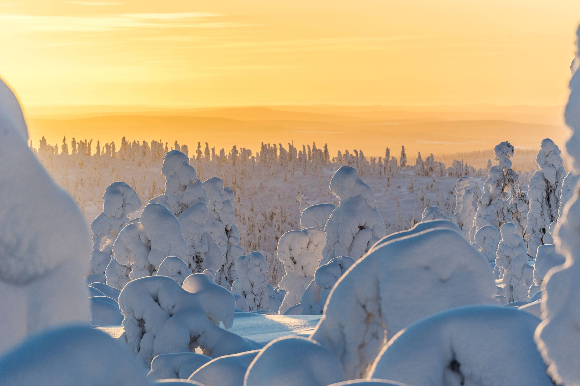 Ivalo and Inari, Lake Inari and the Sámi heartland
