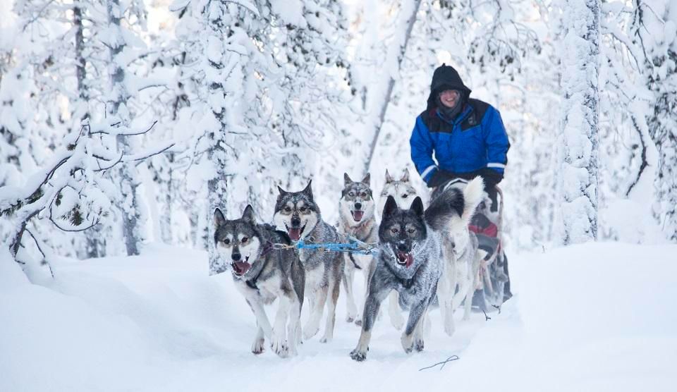 Sámi hosts and wilderness days