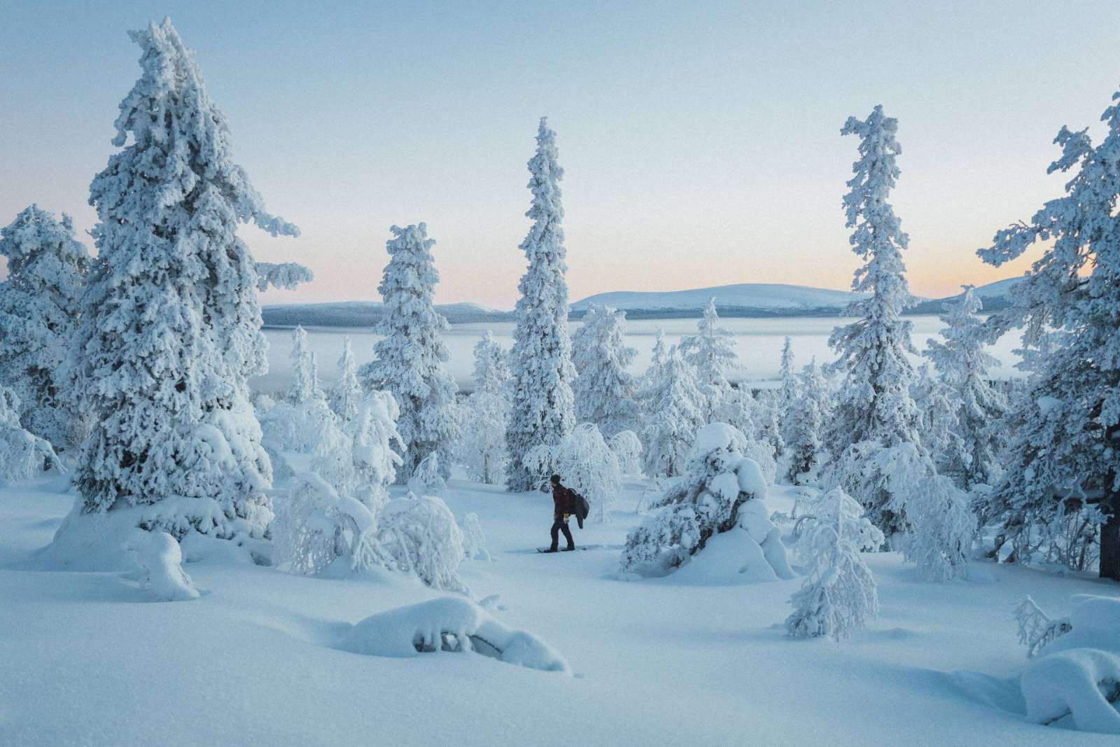 Snowshoeing in the Lapland forest