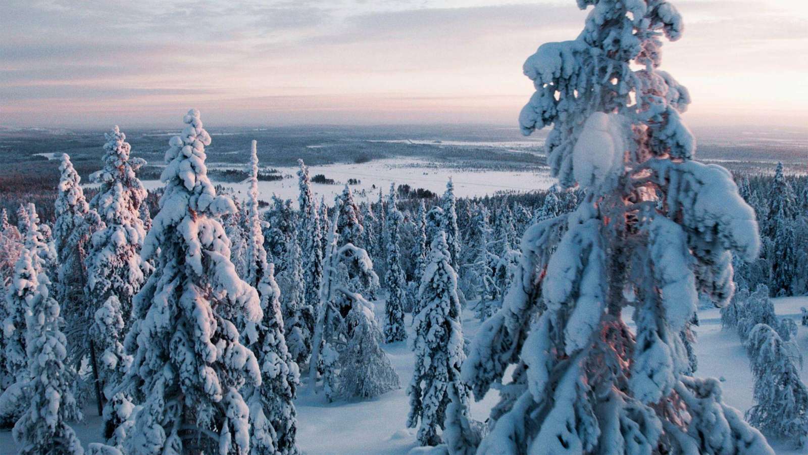 Fatbike and snowshoe