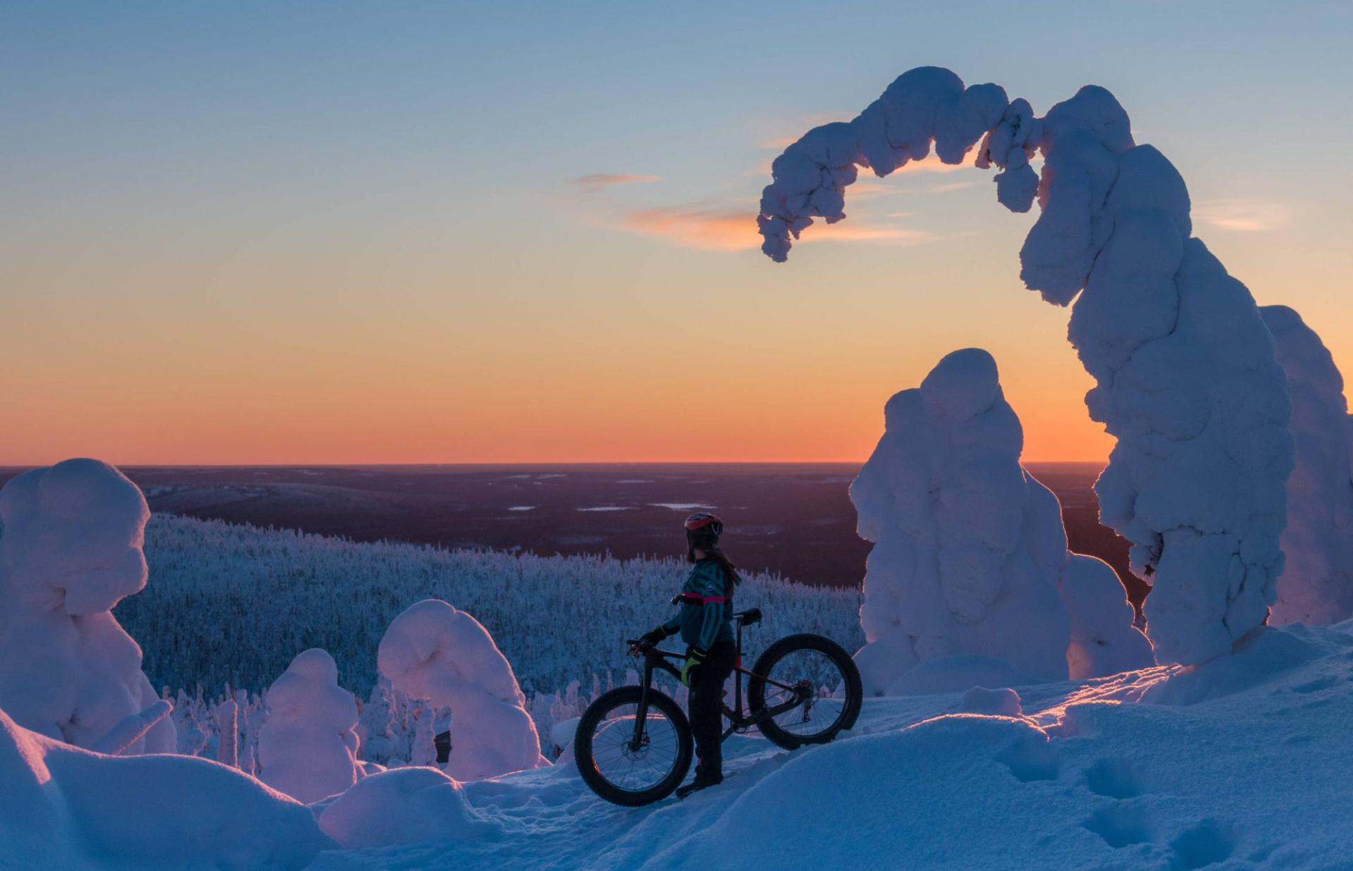 A fatbiker among snow-laden trees above the forest at Syöte, southern Finnish Lapland