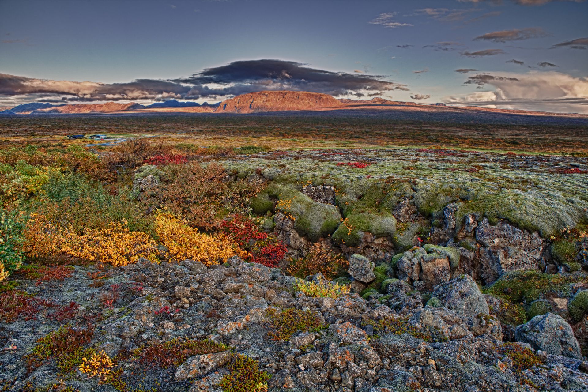Þingvellir national park in autumn colours
