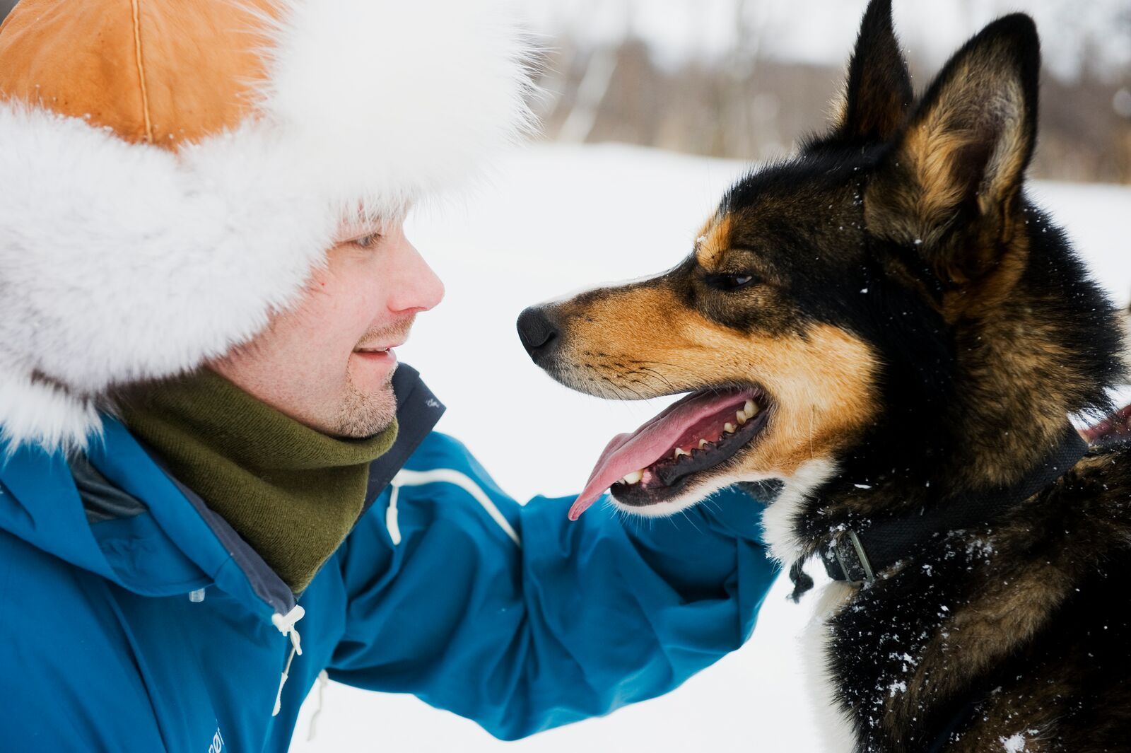 Dog sledding
