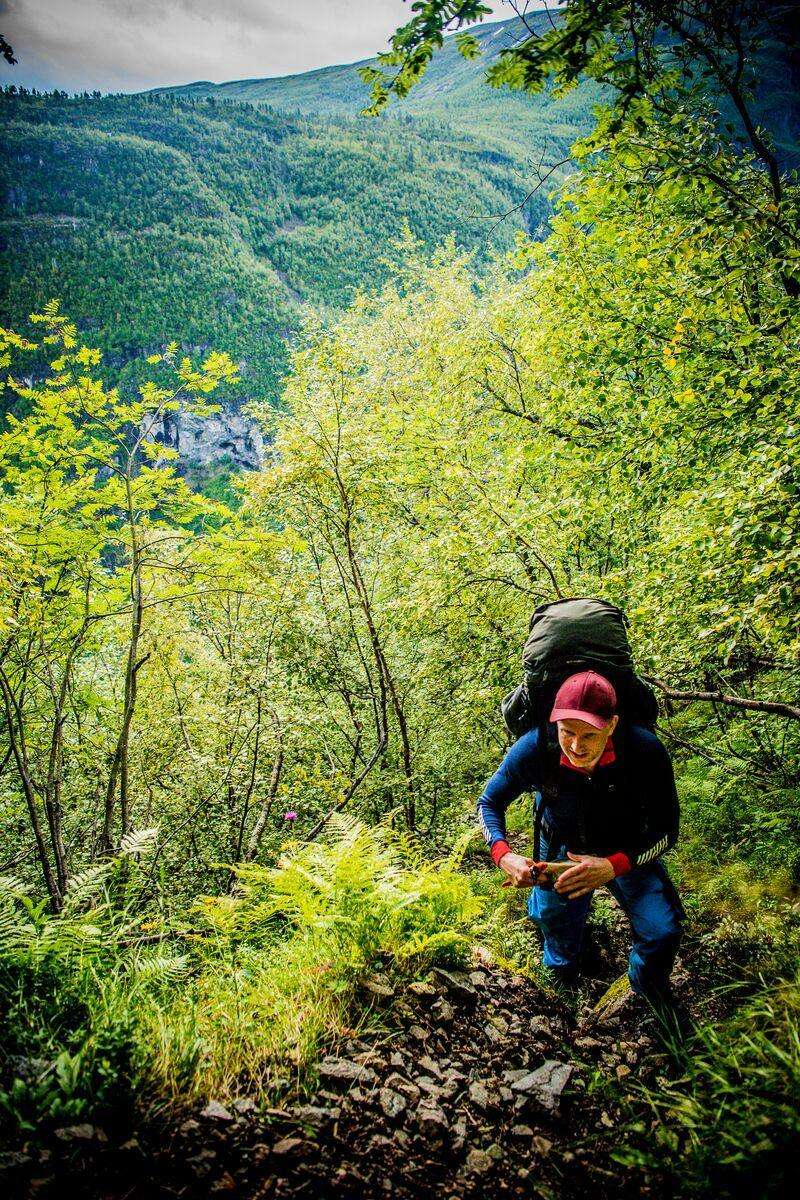 A hiker on a dramatic Norwegian fell in summer light