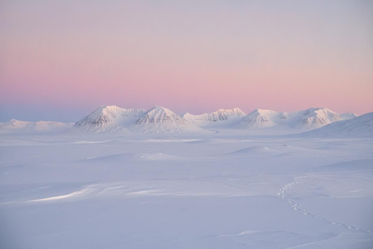 The Arctic North at dawn