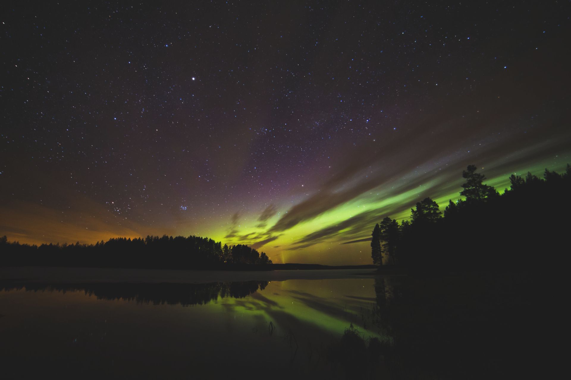 Aurora over the forest in Swedish Lapland