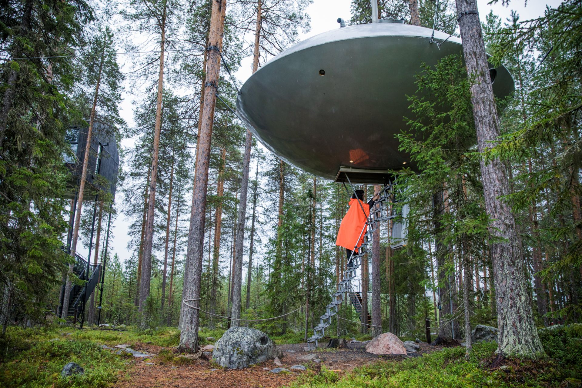 Treehotel